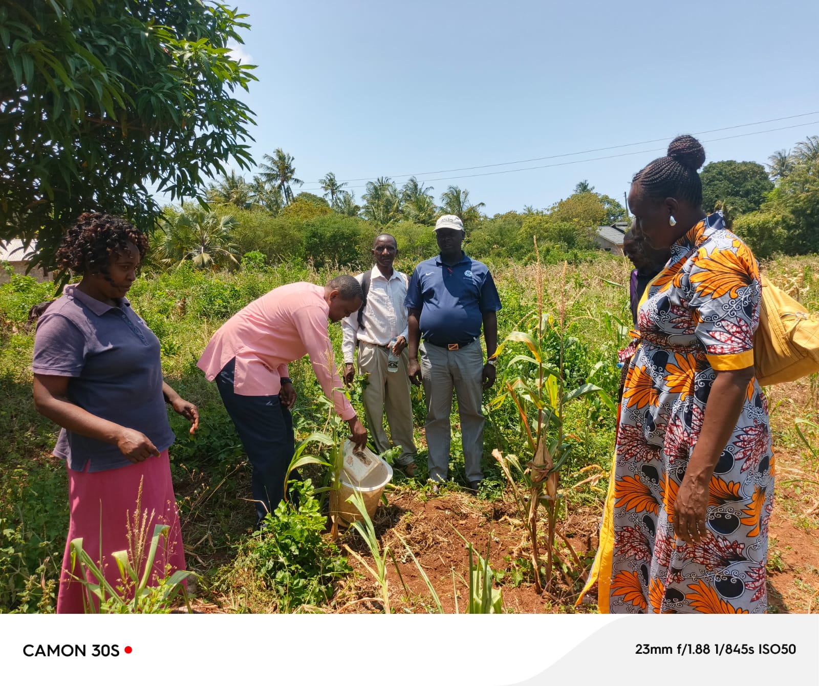 whatsapp image 2025 09 17 at 09.03.17