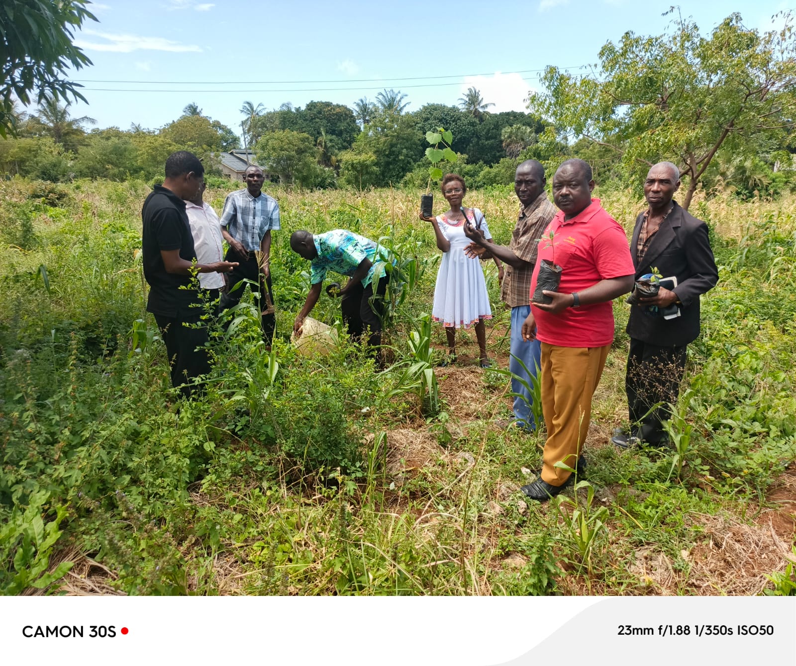 whatsapp image 2025 09 17 at 09.05.29